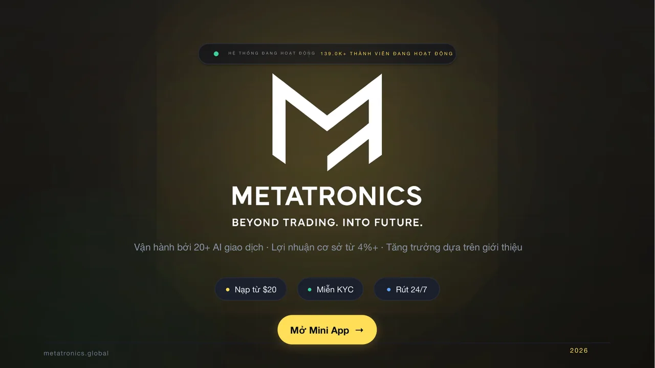 Vietnamese — Metatronics presentation preview